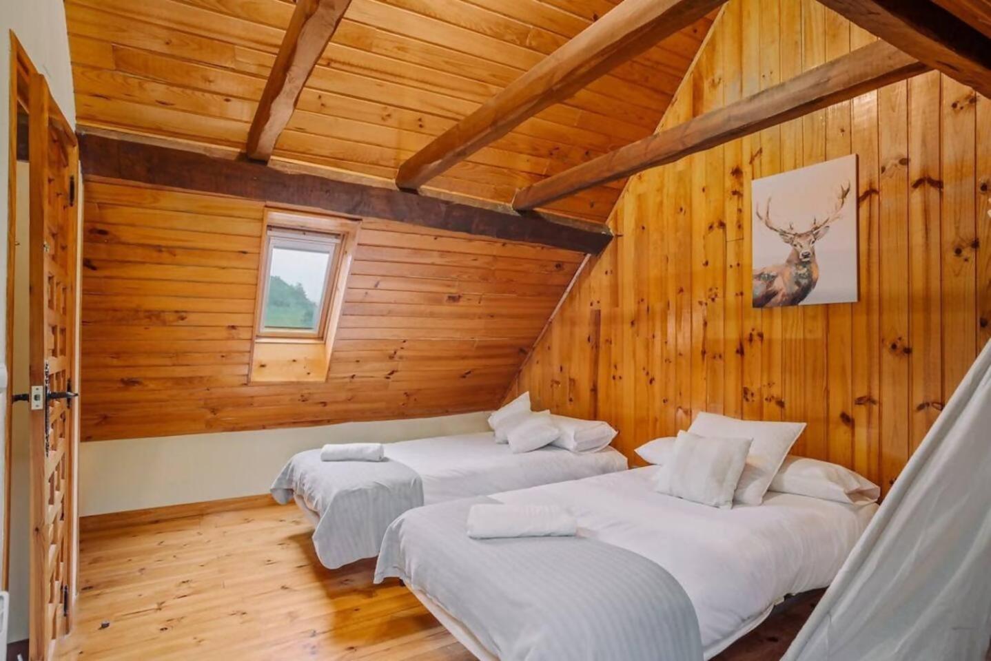 Casa Rural Arix Sallent de Gállego Eksteriør billede
